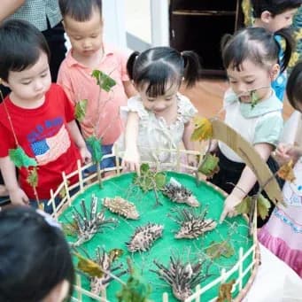 Hoạt động tại Trường Mầm non Sơn Ca